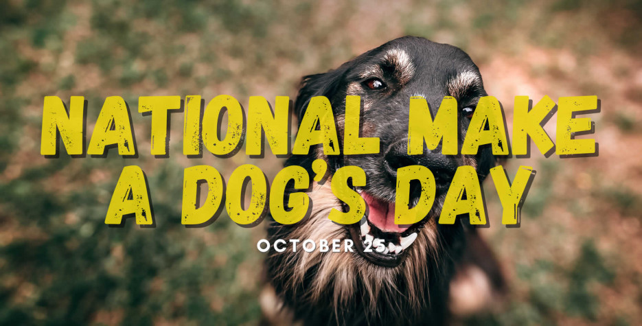 Celebrate National Make a Dog’s Day on October 22nd by giving your furry friend the love and attention they deserve. make every day special for them!