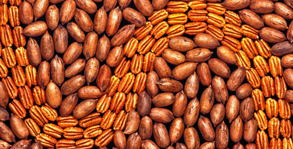 National Pecan Day in USA in 2024