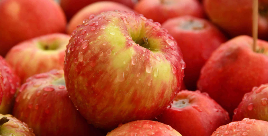 International Eat An Apple Day in USA in 2022