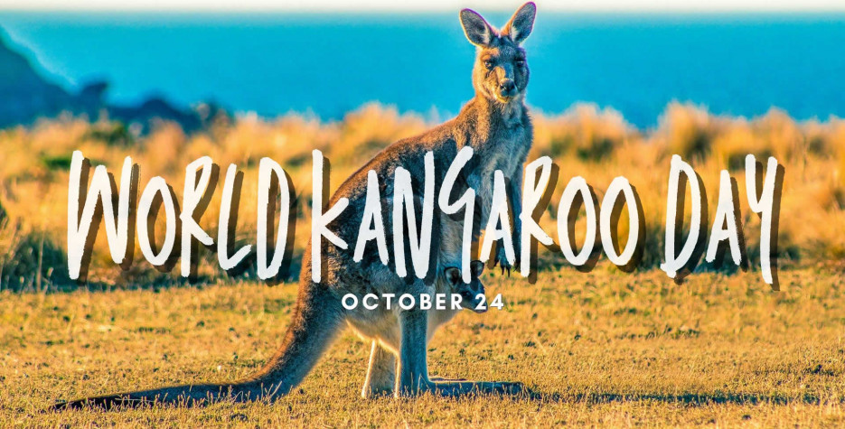 World Kangaroo Day around the world in 2024