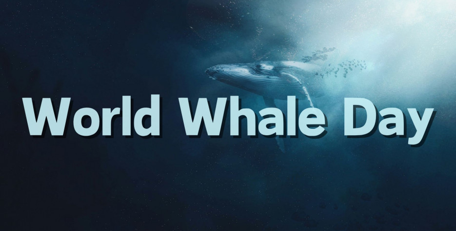 World Whale Day around the world in 2025